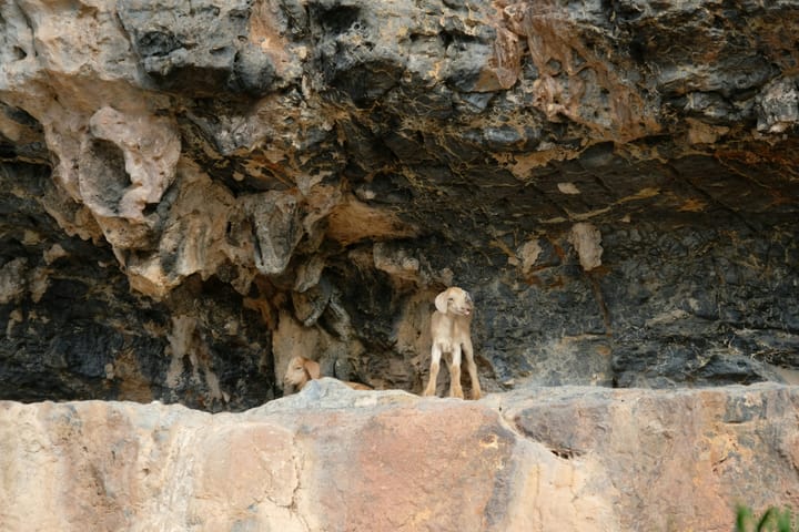 "Disclaimer: "These opinions are my own, though for a small fee they be yours too."" - Dave Haynie