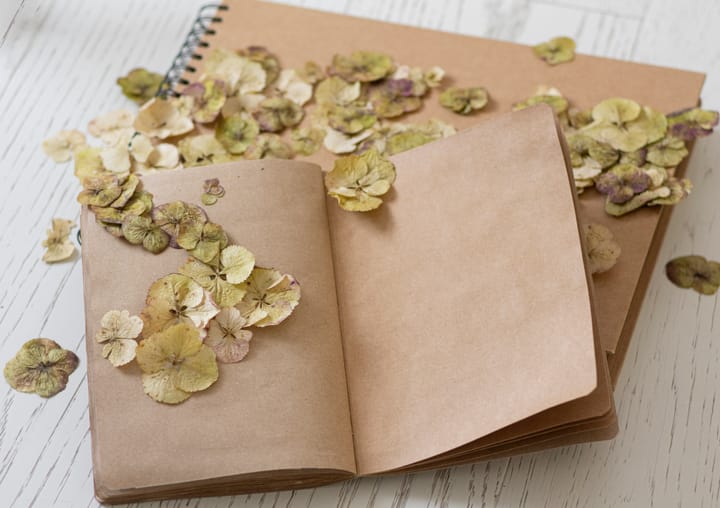 QOTD: "It's been Monday all week today."