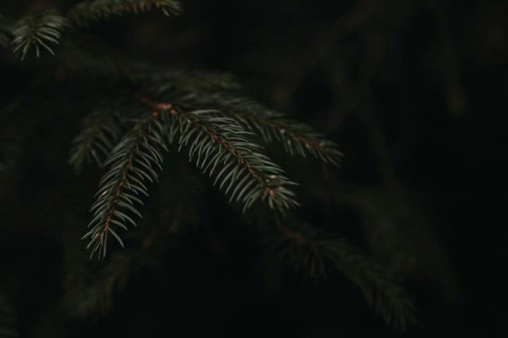 "Patience is the best remedy for every trouble." - Titus Maccius Plautus