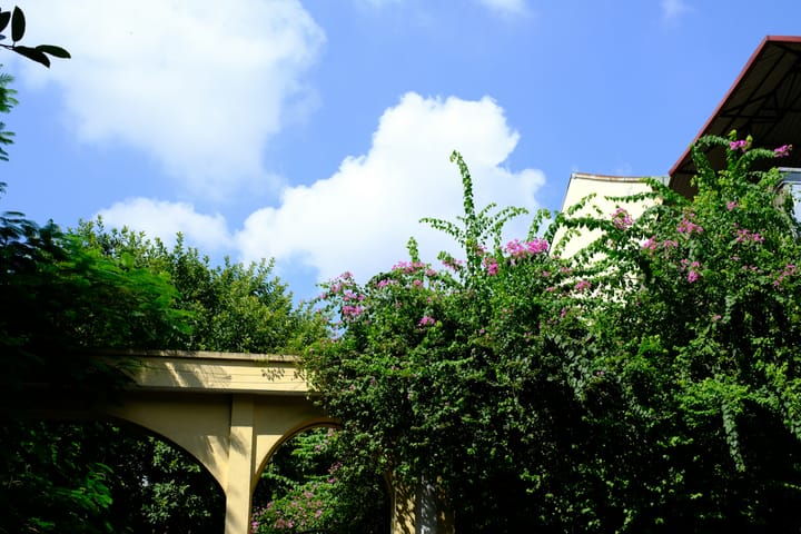 "Once, adv.: Enough." - Ambrose Bierce, "The Devil's Dictionary"