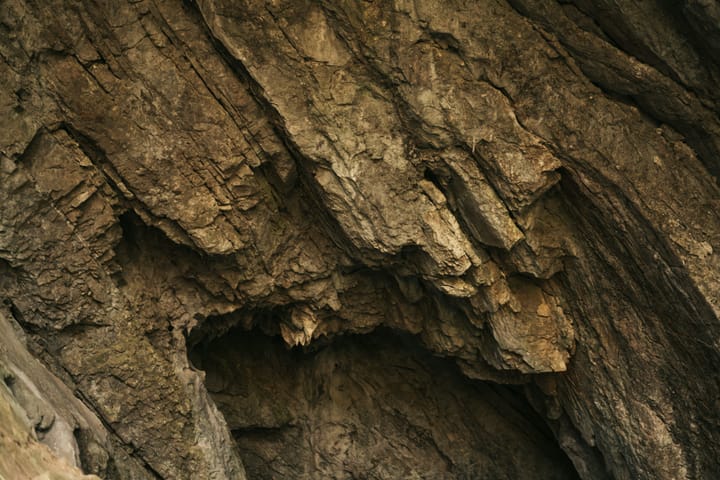 Individualists unite!