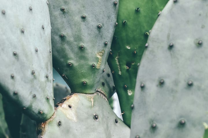 You're growing out of some of your problems, but there are others that you're growing into.