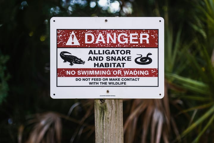 "The lion and the calf shall lie down together but the calf won't get much sleep." - Woody Allen