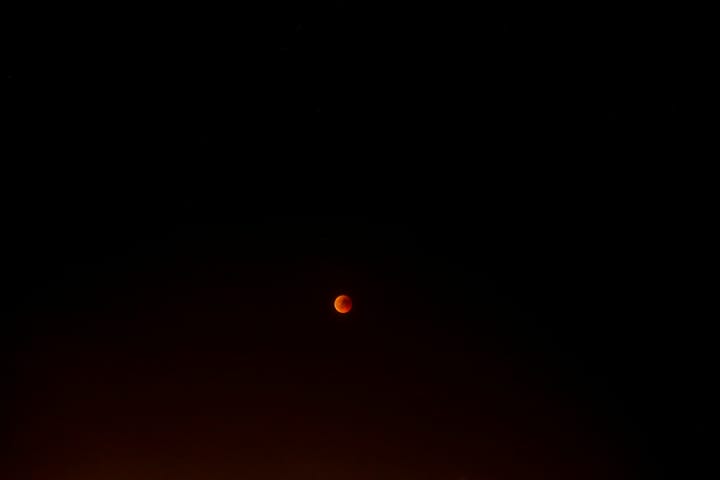 Another good night not to sleep in a eucalyptus tree.