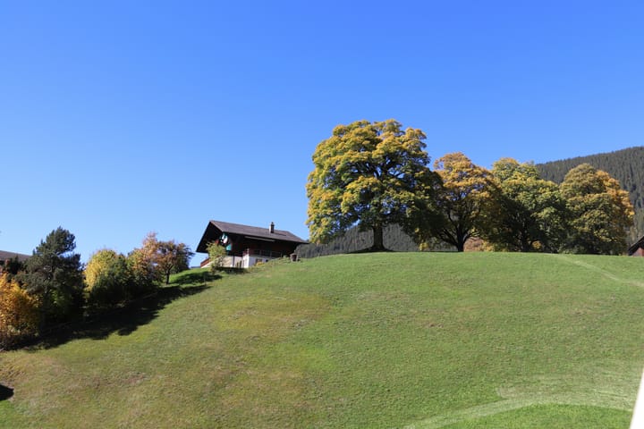 A transistor protected by a fast-acting fuse will protect the fuse by blowing first.