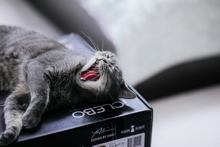 The one good thing about repeating your mistakes is that you know when to cringe.