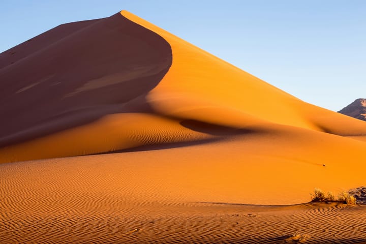 If you stick your head in the sand, one thing is for sure, you're gonna get your rear kicked.