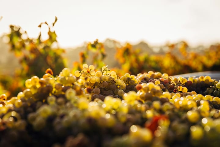 "The wind doth taste so bitter sweet, Like Jaspar wine and sugar, It must have blown through someone's feet, Like those of Caspar Weinberger." - P. Opus