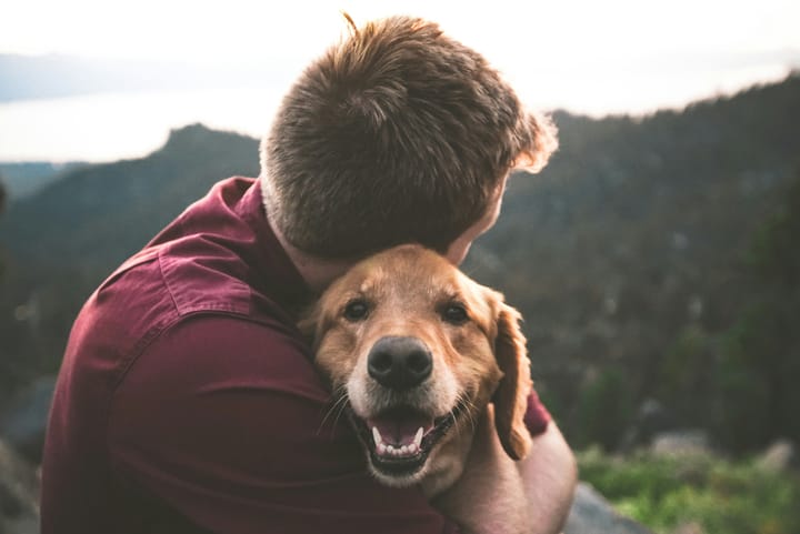 "When there is an old maid in the house, a watch dog is unnecessary." - Honore de Balzac
