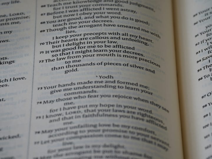 "There is no proverb that is not true." - Cervantes