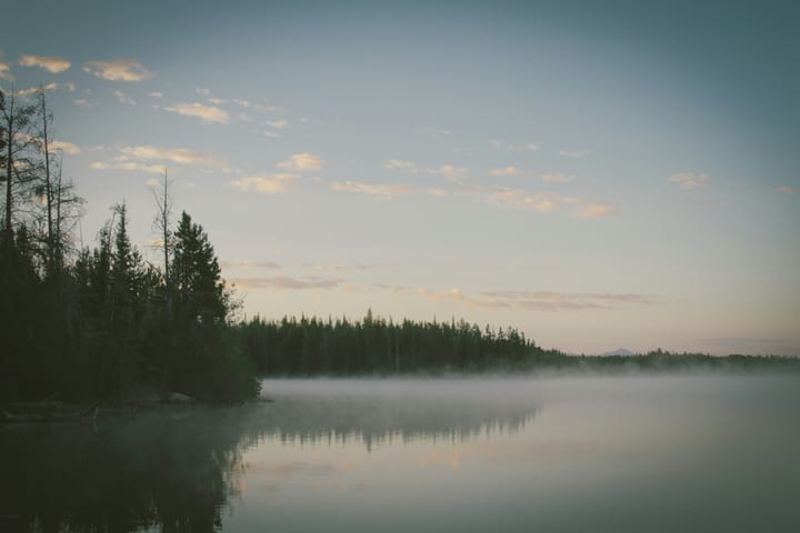 Reality always seems harsher in the early morning.