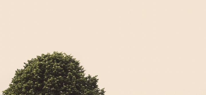 There's nothing like a girl with a plunging neckline to keep a man on his toes.