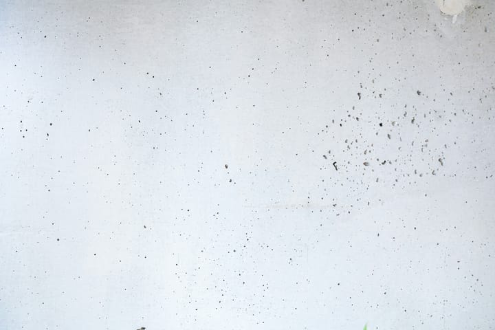 "Who loves me will also love my dog." - John Donne