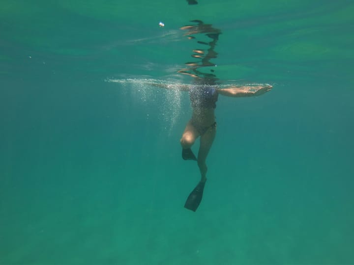 Sink or Swim with Teddy!