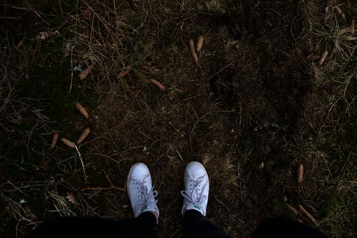 "That's one small step for a man; one giant leap for mankind." - Neil Armstrong
