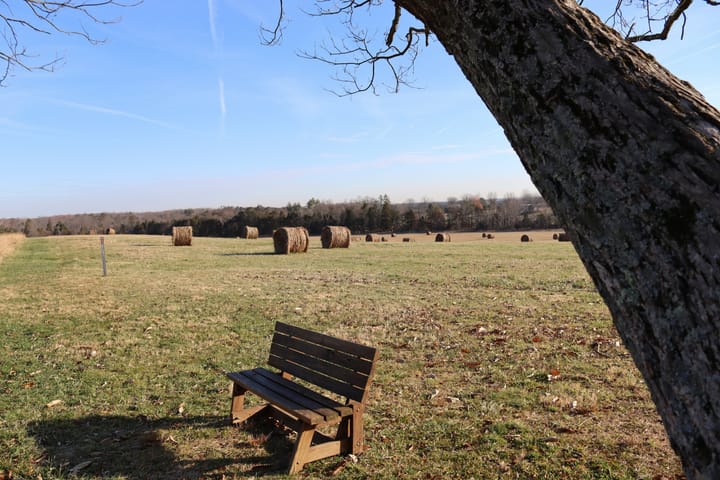 Rule of Creative Research: 1) Never draw what you can copy. 2) Never copy what you can trace. 3) Never trace what you can cut out and paste down.