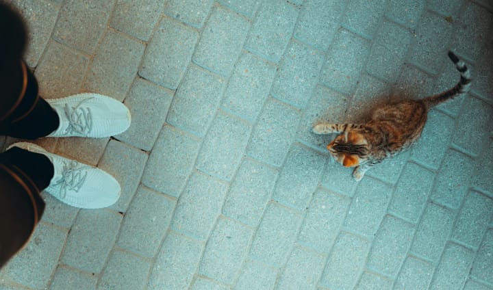 Paul's Law: You can't fall off the floor.