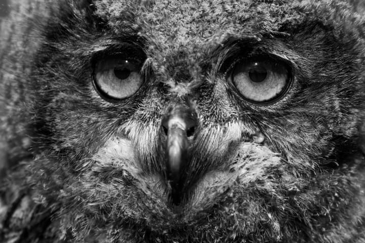 A person is just about as big as the things that make him angry.