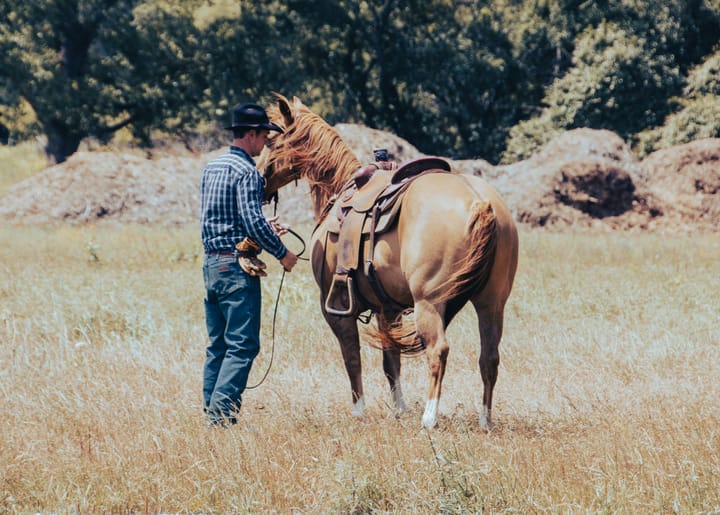 "A man may well bring a horse to the water, but he cannot make him drink with he will." - John Heywood