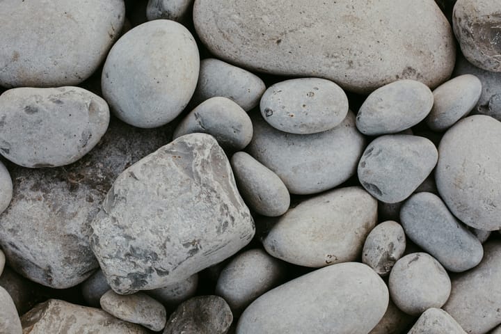 "Under every stone lurks a politician." - Aristophanes