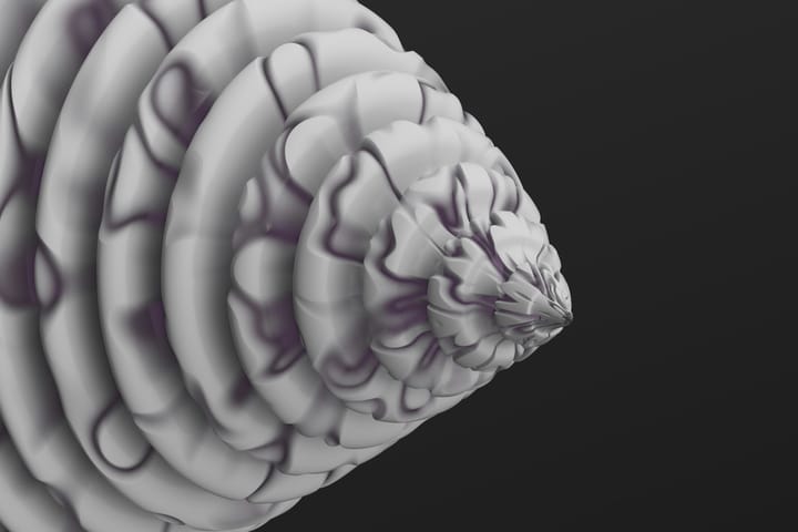 "Brain, n.: The apparatus with which we think that we think." - Ambrose Bierce, "The Devil's Dictionary"