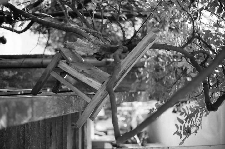 Seattle is so wet that people protect their property with watch-ducks.