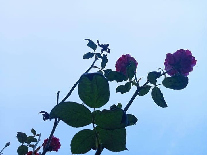 "If love is the answer, could you rephrase the question?" - Lily Tomlin