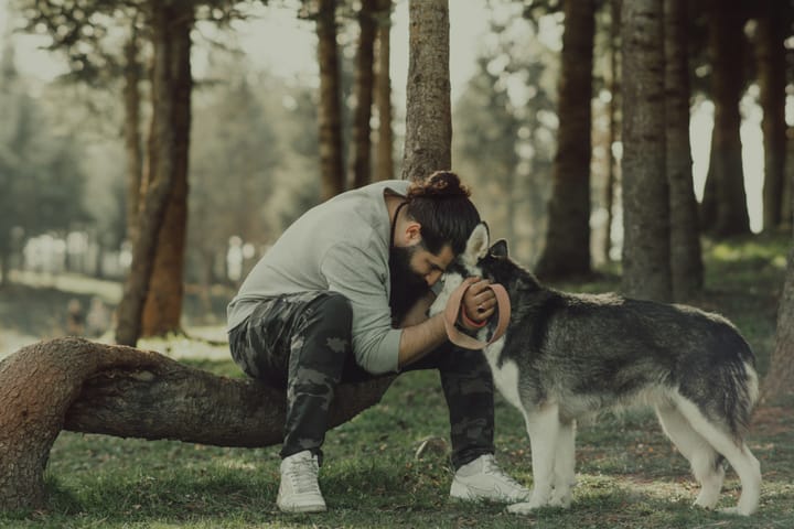 "If you pick up a starving dog and make him prosperous, he will not bite you. This is the principal difference between a dog and a man." - Mark Twain
