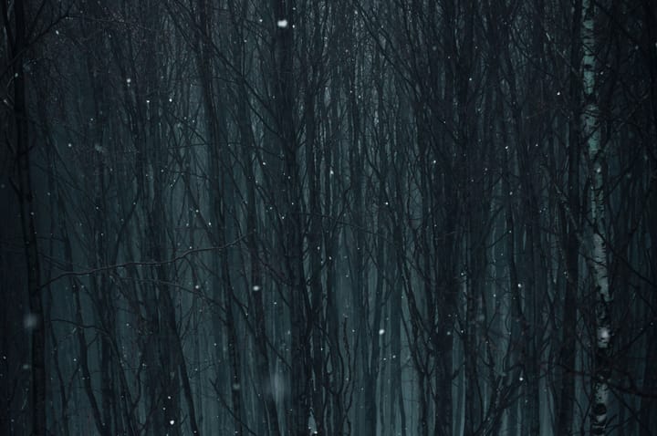 METEOROLOGIST: One who doubts the established fact that it is bound to rain if you forget your umbrella.