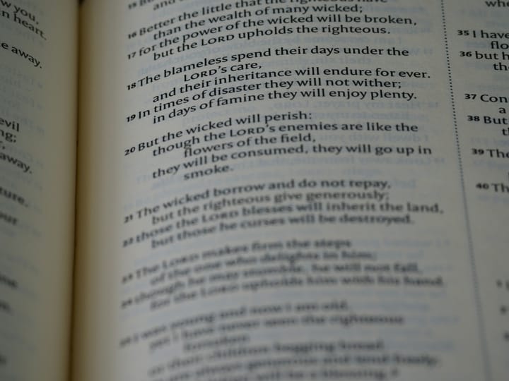"Kleptomaniac, n.: A rich thief." - Ambrose Bierce, "The Devil's Dictionary"