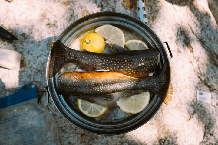 "Time is but the stream I go a-fishing in." - Henry David Thoreau