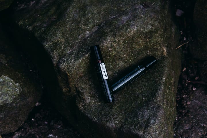 "Some men rob you with a six-gun" - others with a fountain pen. -- Woodie Guthrie