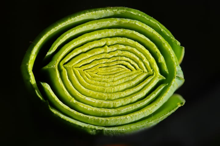 Even a cabbage may look at a king.
