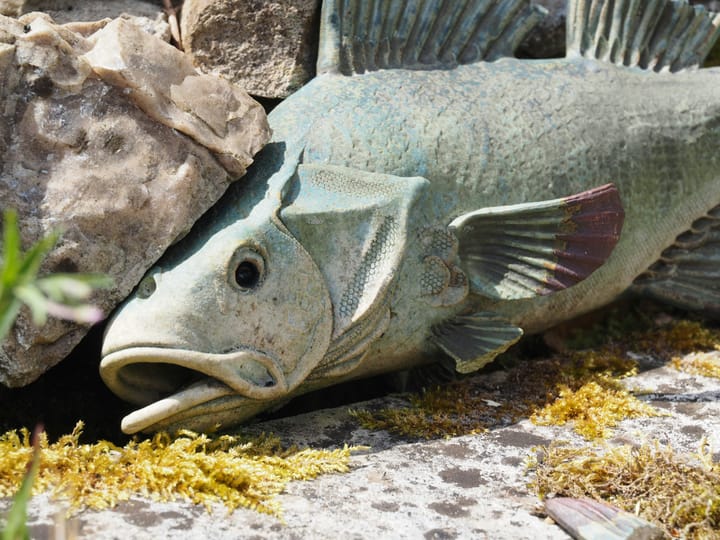 "A countryman between two lawyers is like a fish between two cats." - Benjamin Franklin