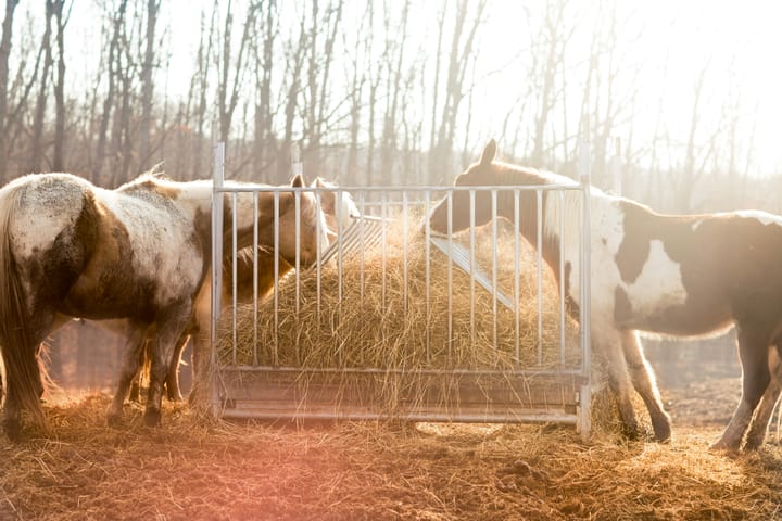 As goatherd learns his trade by goat, so writer learns his trade by wrote.
