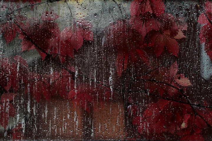 Kin, n.: An affliction of the blood.
