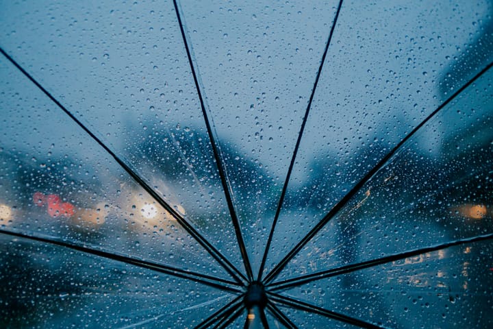 "Sweet April showers do spring May flowers." - Thomas Tusser