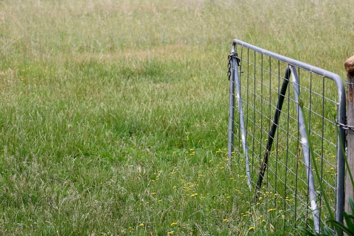 "Bounders get bound when they are caught bounding." - Ralph Lewin