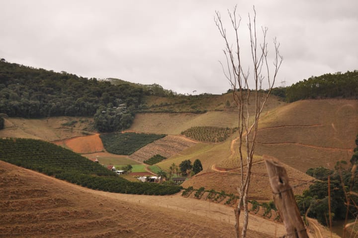 Help a swallow land at Capistrano.