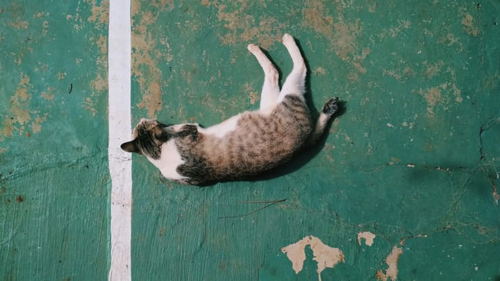 LIVING YOUR LIFE: A task so difficult, it has never been attempted before.