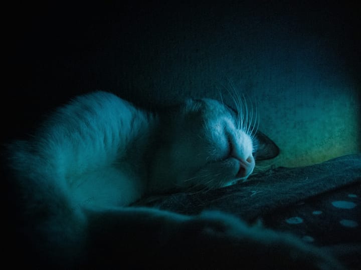 The only problem with being a man of leisure is that you can never stop and take a rest.