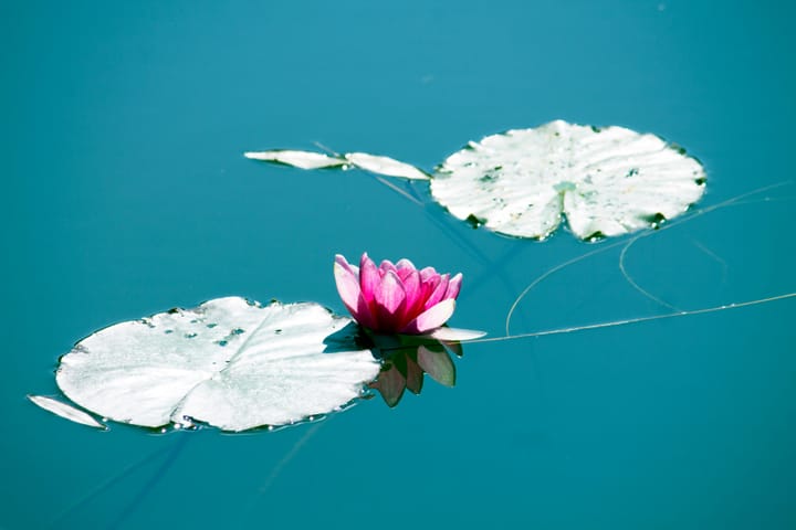 "The aim of science is to seek the simplest explanations of complex facts. Seek simplicity and distrust it." - Whitehead