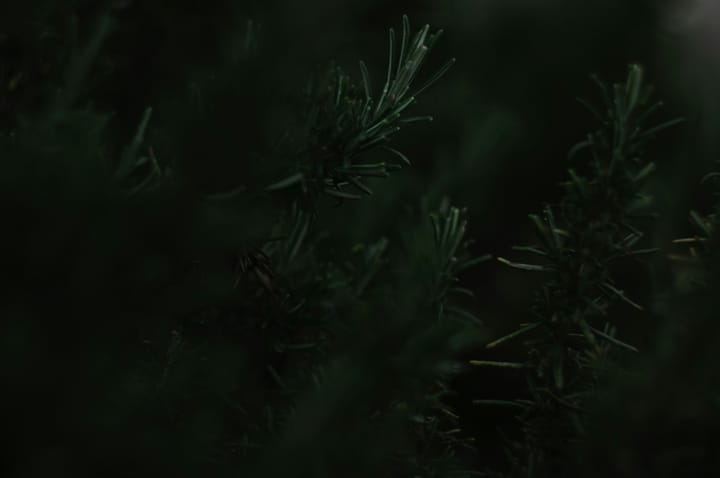 "Go not to the elves for counsel, for they will say both yes and no." - J. R. R. Tolkien