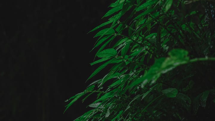 "A woman's best protection is a little money of her own." - Clare Booth Luce, quoted in "The Wit of Women"