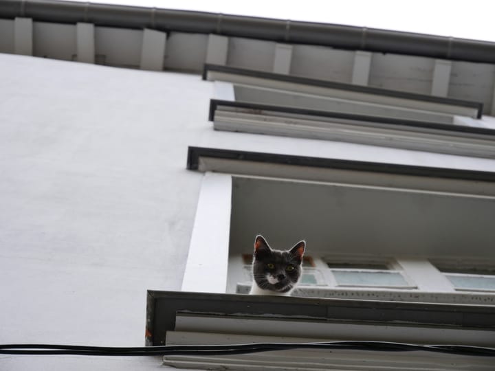Just because you're paranoid doesn't mean they AREN'T after you.