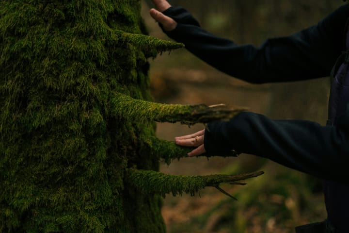 "I put up my thumb... and it blotted out the planet Earth." - Neil Armstrong