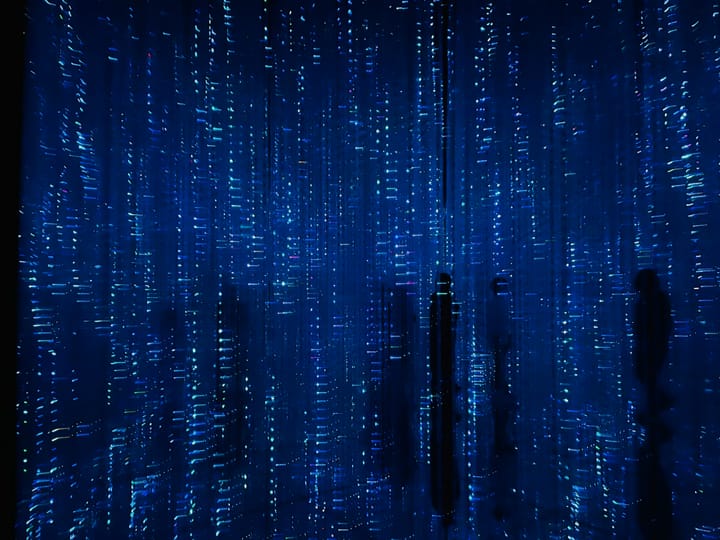 Information Processing: What you call data processing when people are so disgusted with it they won't let it be discussed in their presence.