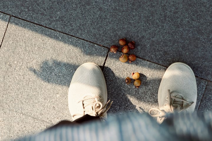 "Bad men live that they may eat and drink, whereas good men eat and drink that they may live." - Socrates