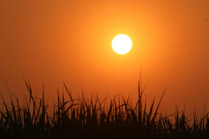 "I never expected to see the day when girls would get sunburned in the places they do today." - Will Rogers